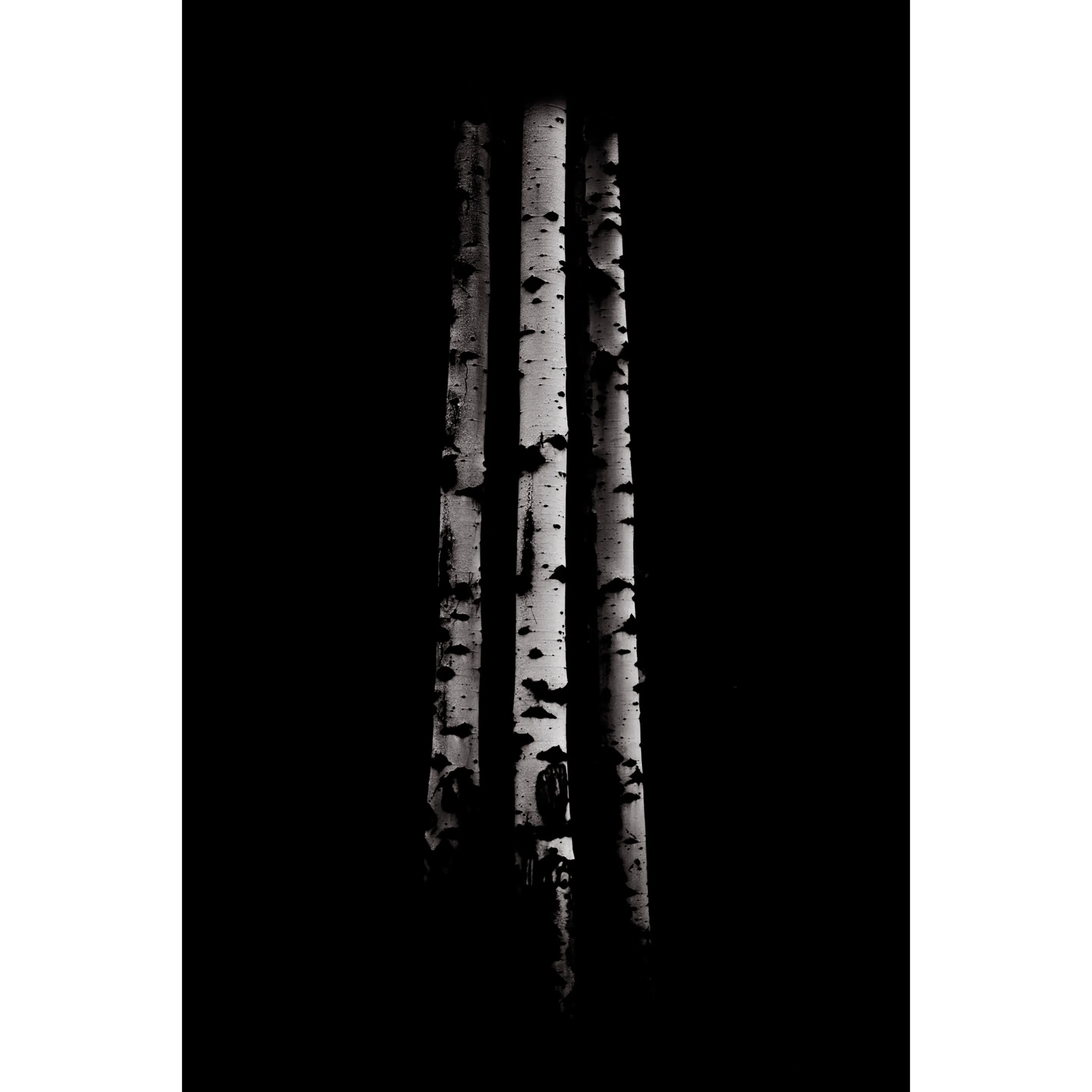 Ansel Aspens 1 - 60 x 40