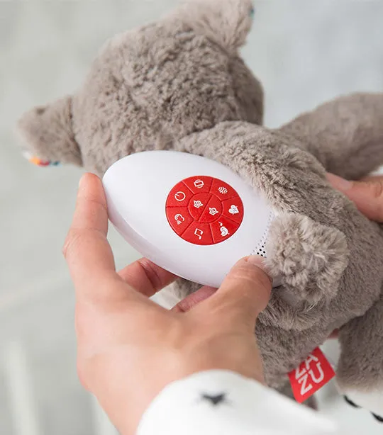Coco the Koala Sound Machine