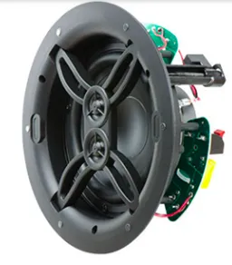 Dual Voice Speaker