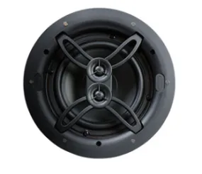 Dual Voice Speaker