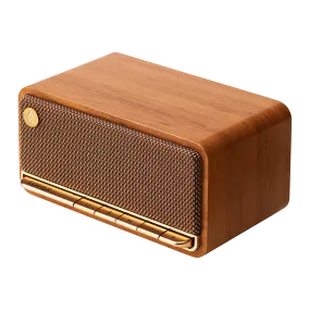 MP230 Portable Bluetooth Speaker