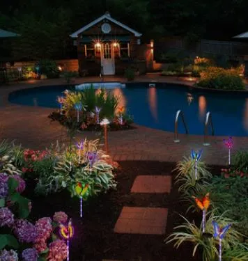 Solar Butterfly Light 7 Color Cycle LED