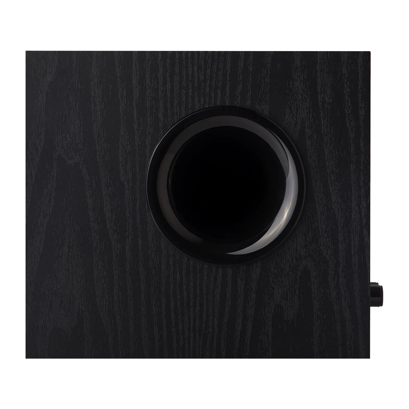 T5 Powered Subwoofer